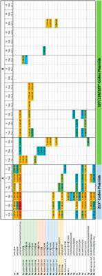 Misincorporations of amino acids in p53 in human cells at artificially constructed termination codons in the presence of the aminoglycoside Gentamicin